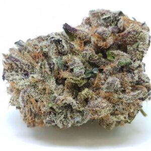 Purple Kush